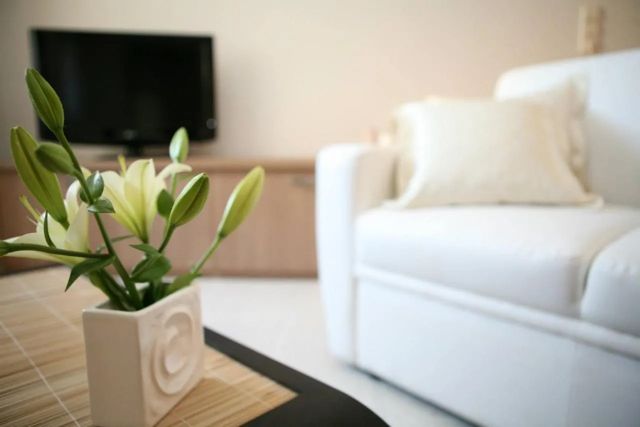 Apartments Filip & Viktoria In The Center Of Trogir Croatia